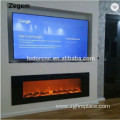 60 Inch Modern Electric Fireplaces/Boiler Wood Stove